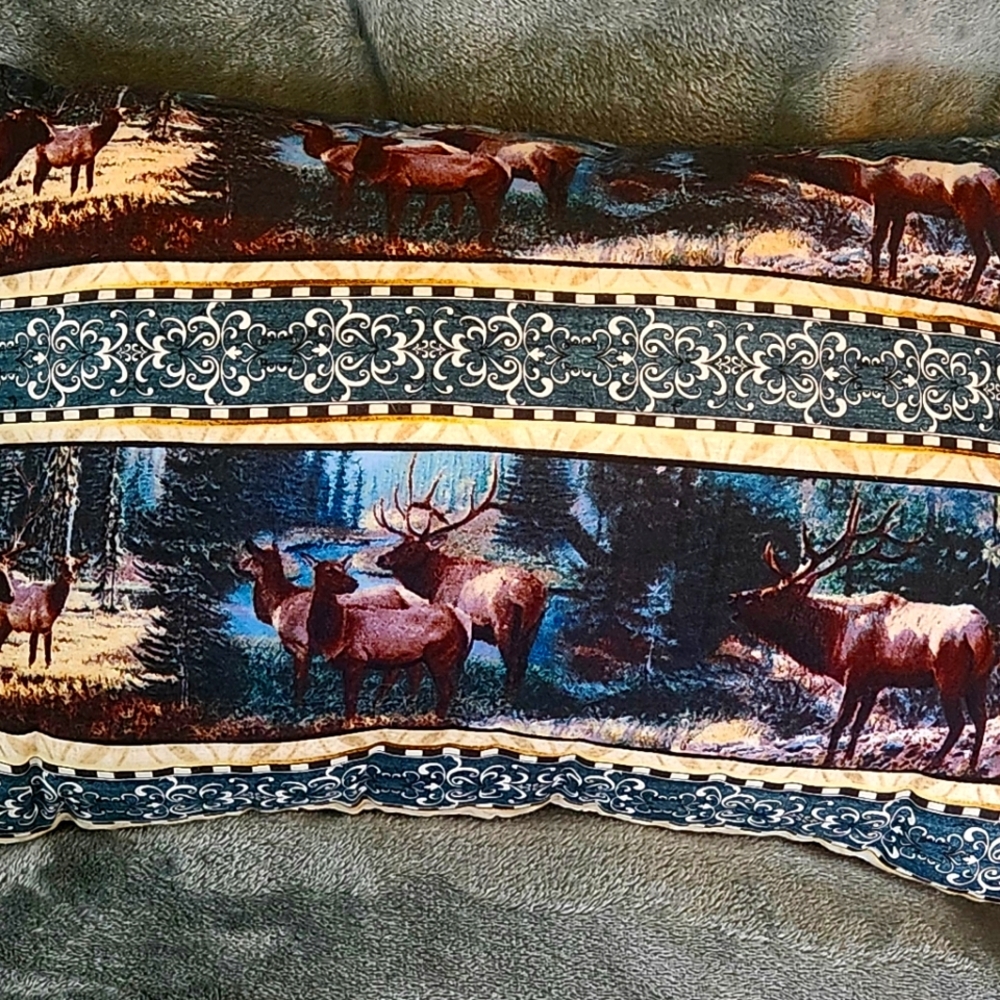 Throw Pillow